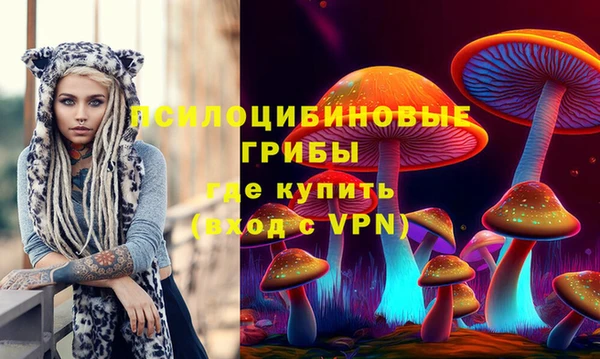 соль ск Белокуриха