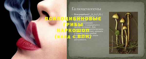 мяу мяу мука Беломорск