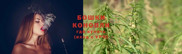 соль ск Белокуриха