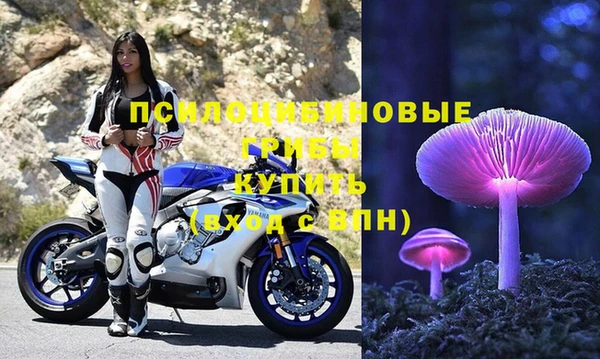 прущая мука Белоозёрский