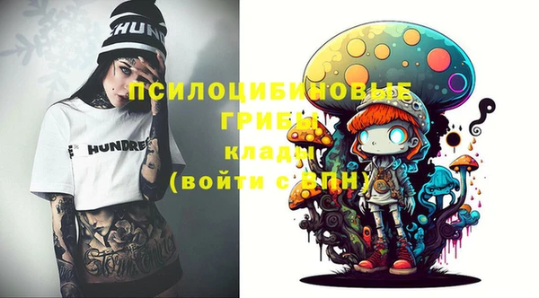 соль ск Белокуриха
