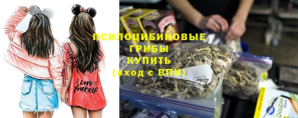 соль ск Белокуриха